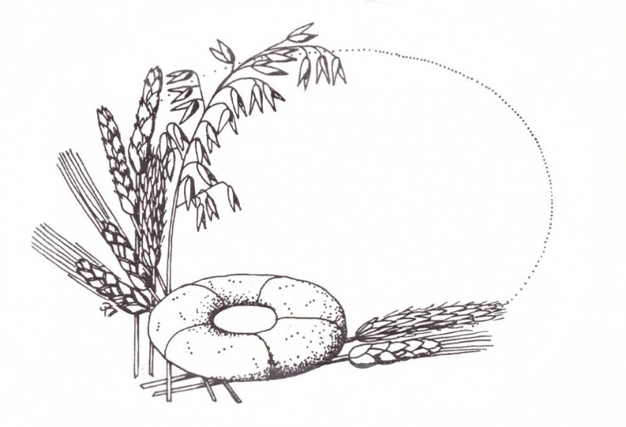 Elojuhlat Meilahden kirkolla 8.-9.8.2026